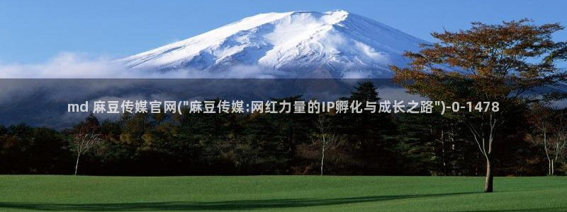 麻豆视频精选完整版：md 麻豆传媒官网(\