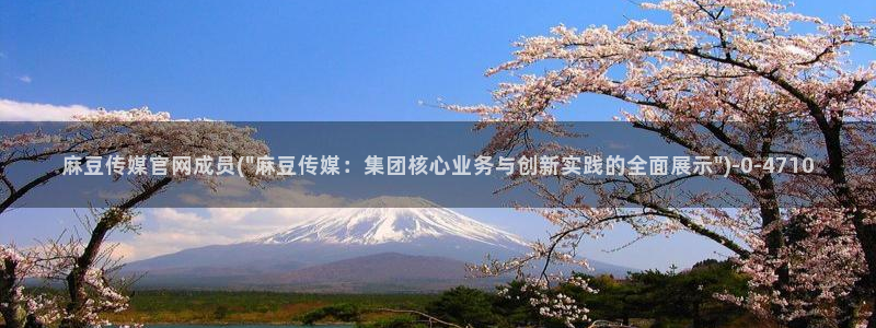 麻豆视频 合集专区：麻豆传媒官网成员(\